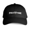 Free palestine Cap